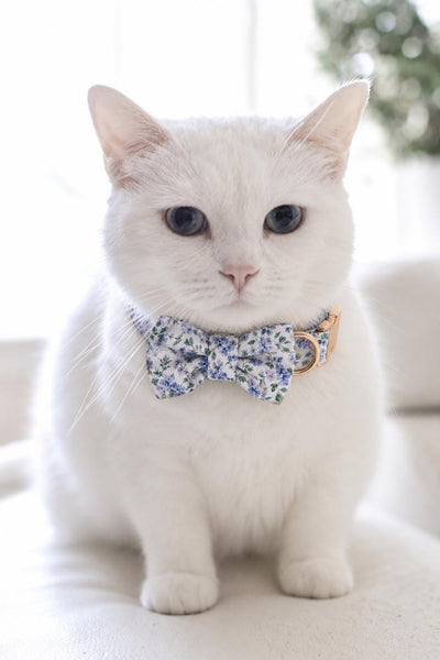 Hampstead Floral Pet Collar