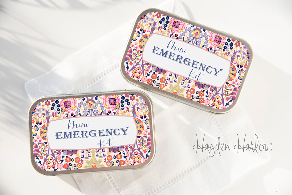 Mini Emergency Kit - NOMAD - Hayden Harlow